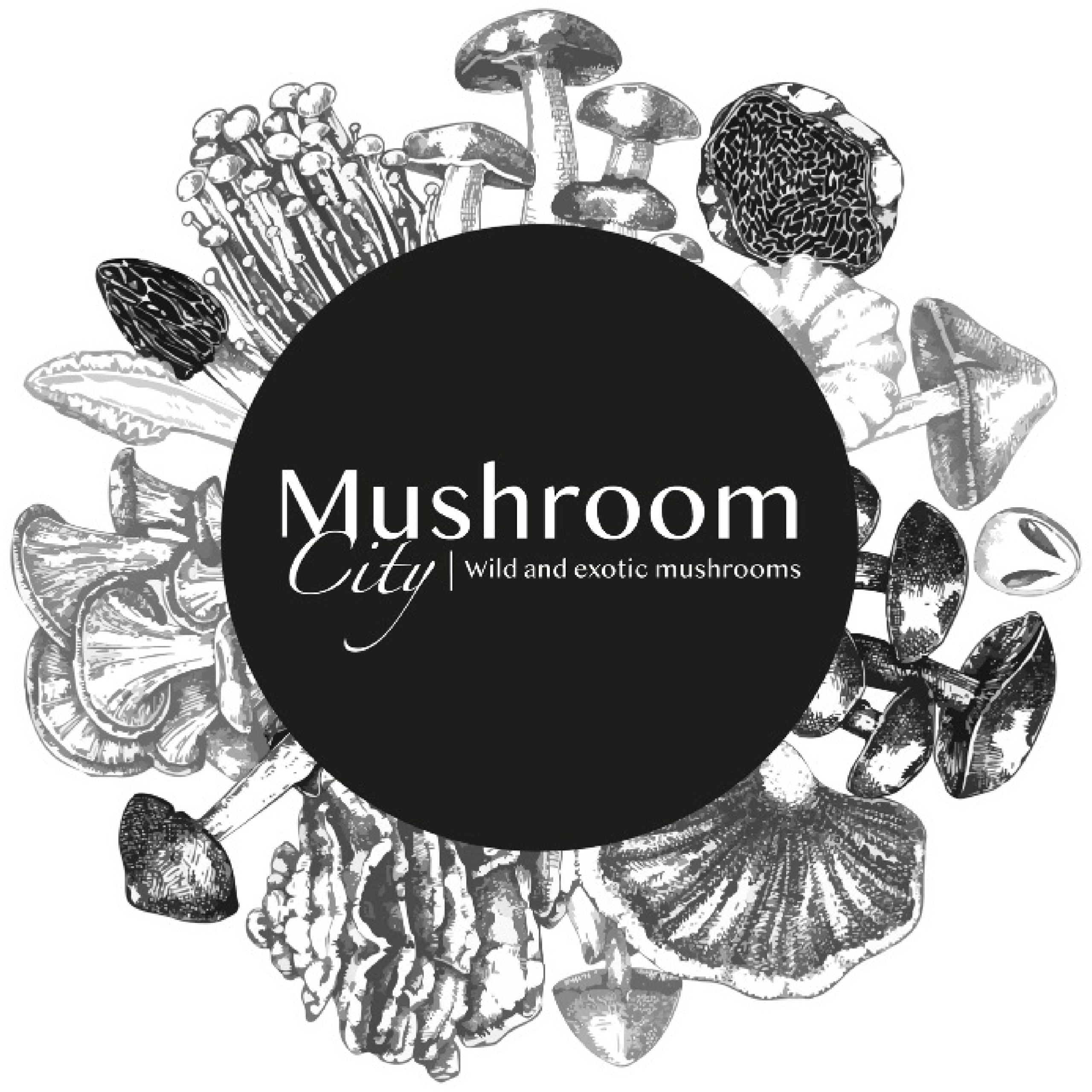 Mushroom City